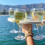 Santa Barbara Happy Hour on a Yacht - Who Will Love This Experience