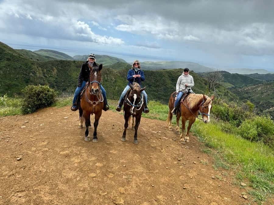 Santa Barbara: Scenic Canyon Horseback Riding Tour - What to Expect During Your Ride