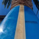 Santa Monica: Surfboard and Wetsuit Rental - Key Points