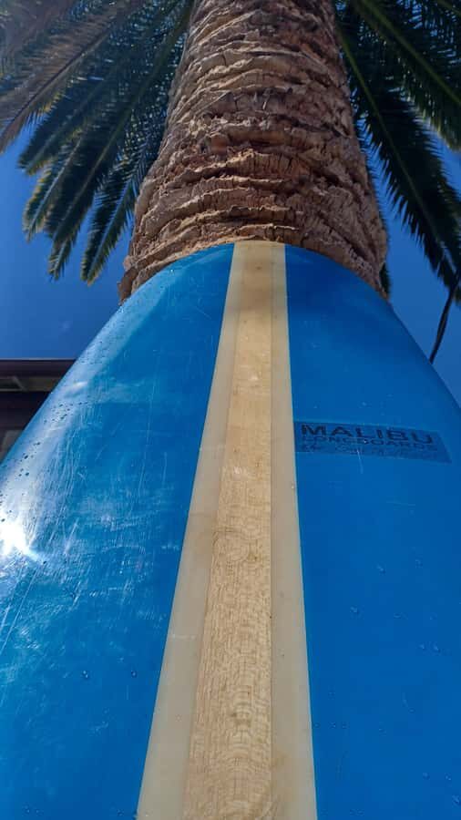 Santa Monica: Surfboard and Wetsuit Rental - Key Points
