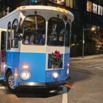 Santas Trolley to Dyker Heights - A Deep Dive into Santas Trolley to Dyker Heights