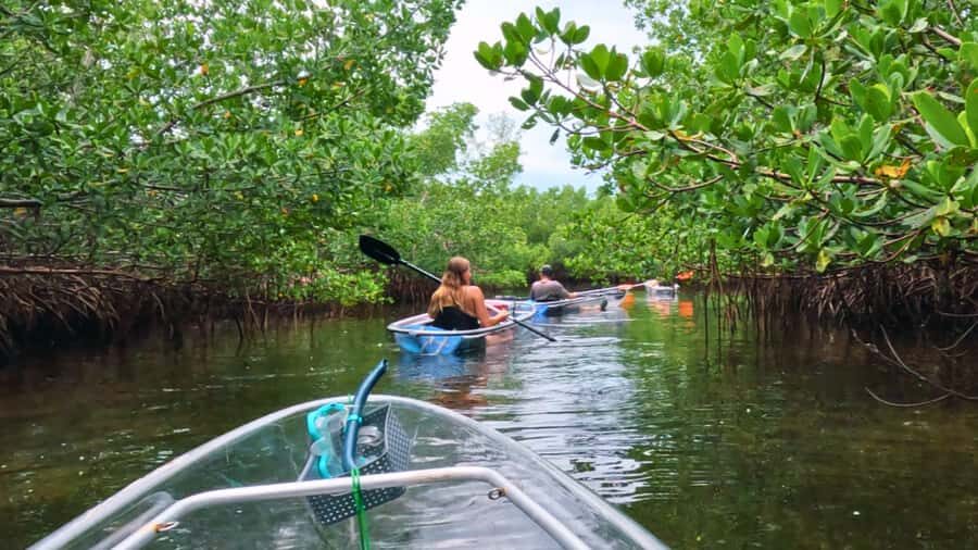 Sarasota: Clear Kayak Mangrove Tunnel & Beach Hopping Tour - The Sum Up