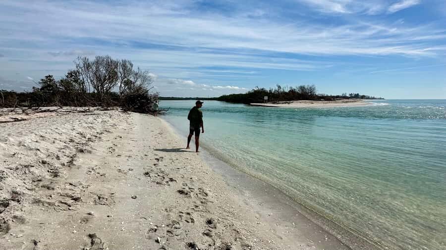 Sarasota: Siesta Key Clear Kayak Tour with Guide - What to Expect