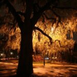 Savannah Ghosts of Christmas Past Tour - FAQ