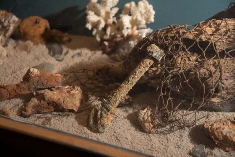 Savannah: Pirates and Treasure Museum Entry Ticket - An In-Depth Look at the Savannah Pirates and Treasure Museum