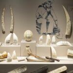 Savannah Ships of the Sea Museum Ticket Tour - What You Can Expect During Your Visit