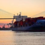 Savannah: Sunset Dolphin Watching Eco Tour by Boat - The Guides and Their Role