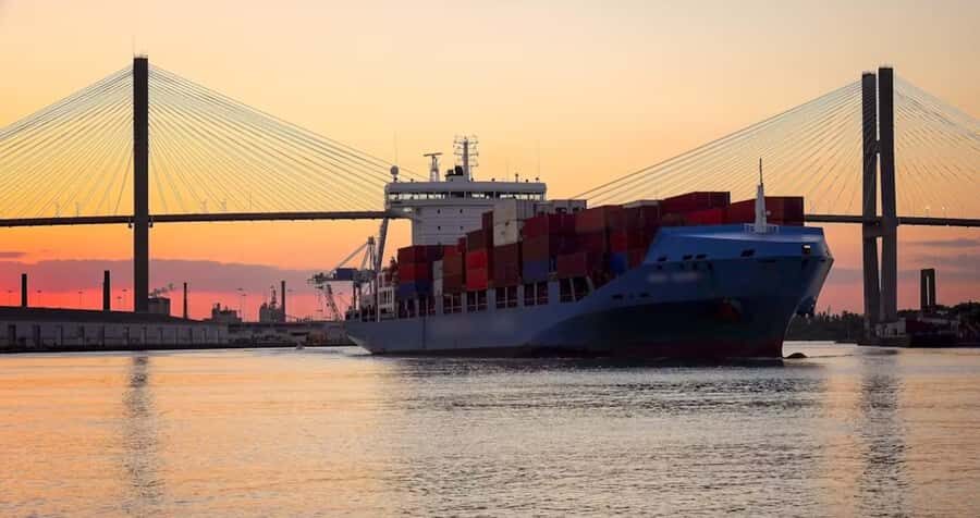 Savannah: Sunset Dolphin Watching Eco Tour by Boat - The Guides and Their Role