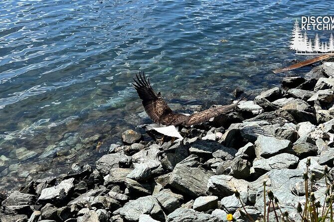 Saxman Native Village & Ketchikan City Tour - The Practicalities: How the Tour Works