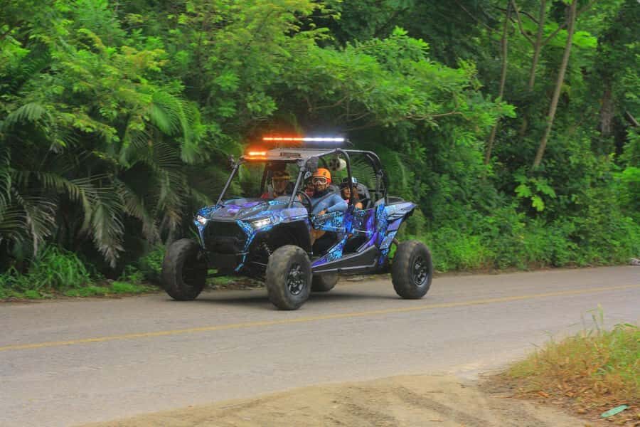 Sayulita Off-Road RZR Tour - What Travelers Say