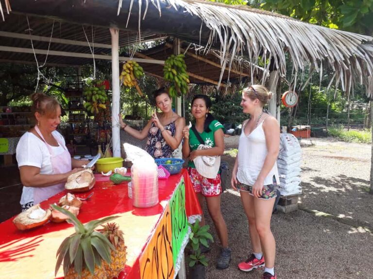 Sayulita: Petroglyphs Sacred Sanctuary Guided Experience - The Sum Up