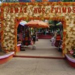 Sayulita & San Pancho Adult Group Discounted Tour - A Closer Look at the Experience