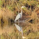 Scappoose Bay Kayak Adventure Private tour - Why Choose this Tour?