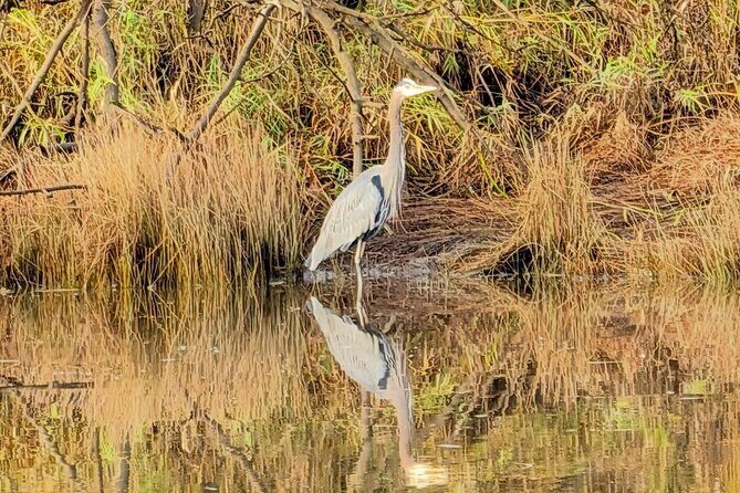 Scappoose Bay Kayak Adventure Private tour - Why Choose this Tour?