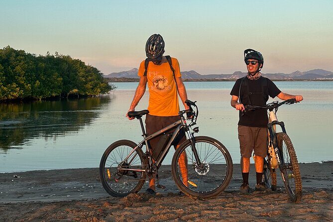 Scenic Bay Bike Ride Through Desert and Mangrove - What Makes This Tour Stand Out?