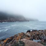 Scenic Bus Tour of the Northeast Avalon from St. John's - An In-Depth Look at the Tour Experience