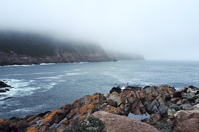 Scenic Bus Tour of the Northeast Avalon from St. John's - An In-Depth Look at the Tour Experience