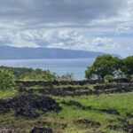 Scenic Half Day North Shore Tour Turtle Bay pickup only - The Sum Up