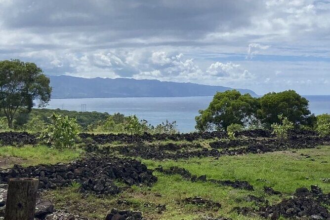 Scenic Half Day North Shore Tour Turtle Bay pickup only - The Sum Up