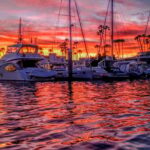 Scenic Wildlife Boat Cruise & Wine with a local Artist - What to Expect on Your Cruise