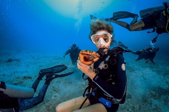 Scuba Certified Diving Immersion at Maroma Beach (1 or 2 tanks) - An In-Depth Look at the Riviera Maya Scuba Experience