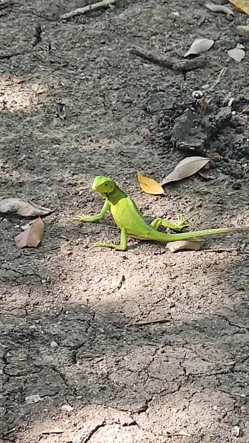 Sea excursion - Exploring the Itinerary in Detail