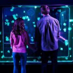 SEA LIFE Aquarium San Antonio - Who Will Love This Experience?