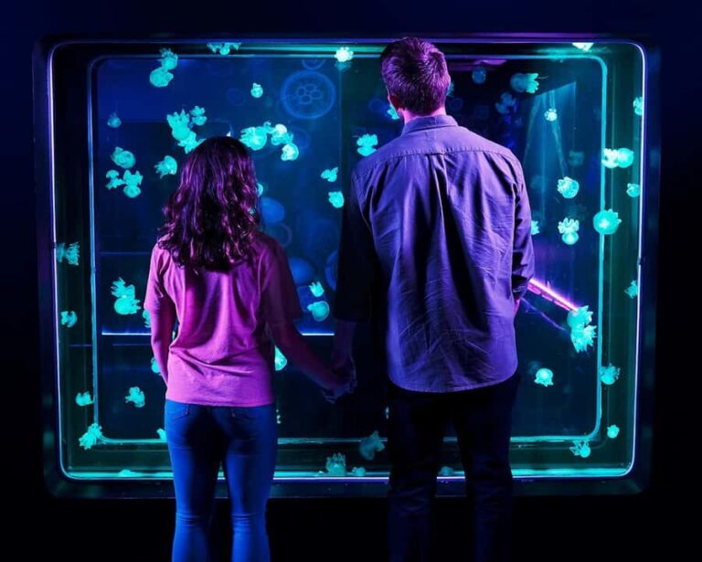 SEA LIFE Aquarium San Antonio - Who Will Love This Experience?