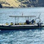 Seasonal Small-Group Humpback Whale Watching in Kona - What Travelers Say