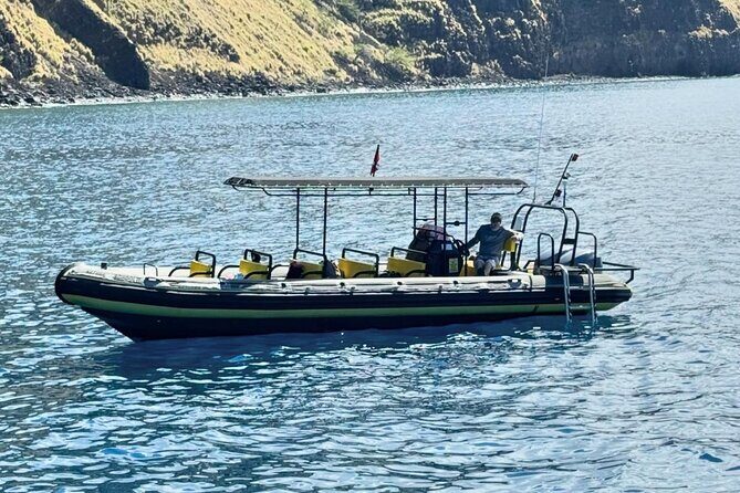 Seasonal Small-Group Humpback Whale Watching in Kona - What Travelers Say