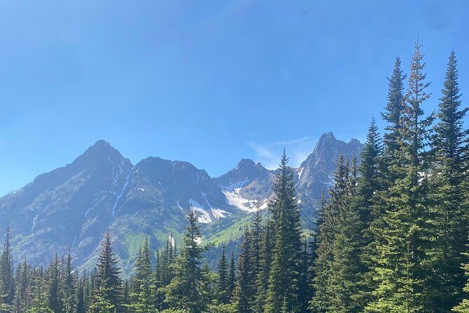 Seattle: North Cascades National Park Highlights 1-Day - Authentic Insights from Travelers