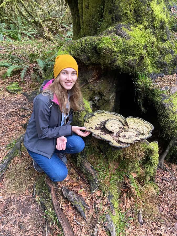 Seattle: Rainforest and Olympic National Park Highlights - Authentic Experiences & Insights from Guests