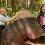 Seattle: Rainforest, Beach, and Olympic National Park Highlights - The Experience: What Travelers Can Expect