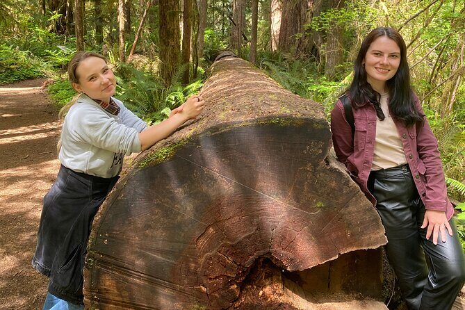 Seattle: Rainforest, Beach, and Olympic National Park Highlights - The Experience: What Travelers Can Expect