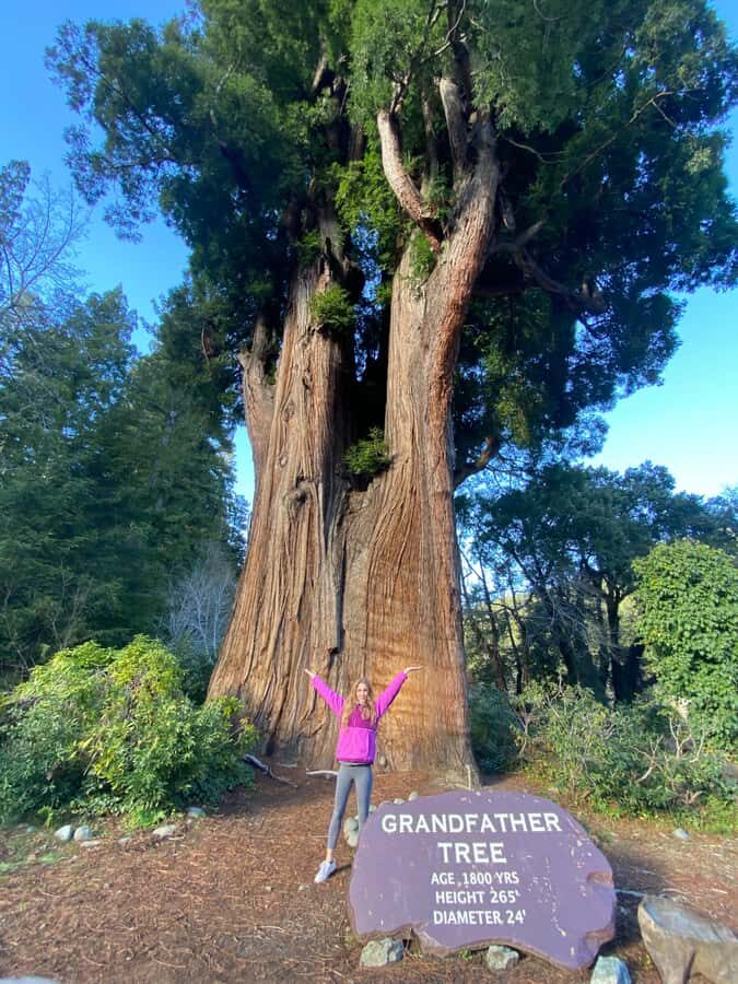 Seattle to California: National Parks and Coast Road Trip - An In-Depth Review of the Seattle to San Francisco Coast Road Trip