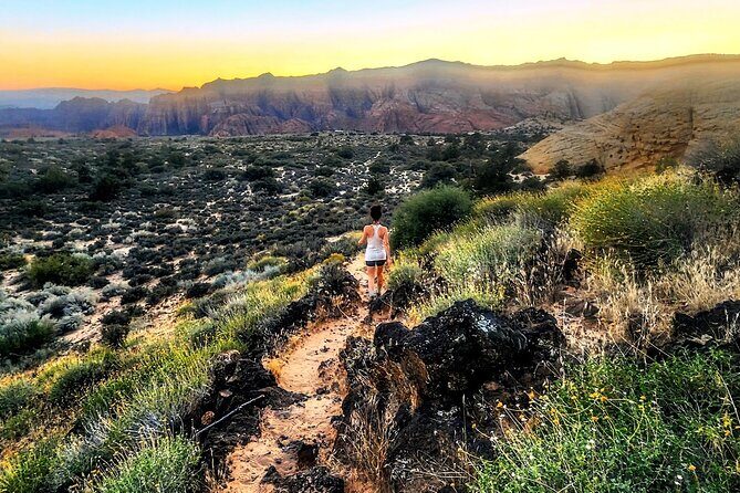 Secret Petroglyphs Hike Adventure - About the Experience Provider