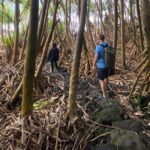 Secret Tide Pool Hike - Jungle & Coast - Private - The Details of the Experience