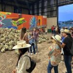 Secrets in Los Altos del Tequila - FAQs