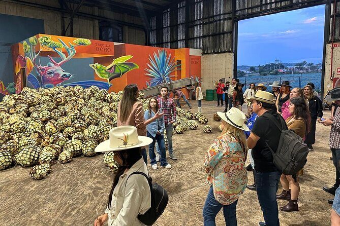 Secrets in Los Altos del Tequila - FAQs