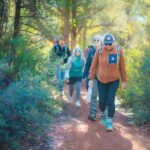 Sedona: 4 Hour Guided Vortex Energy Hiking Tour - The Experience: Details and Authentic Perspectives