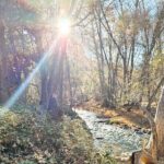 Sedona Sightseeing Tour - FAQ: Your Sedona Sightseeing Questions Answered