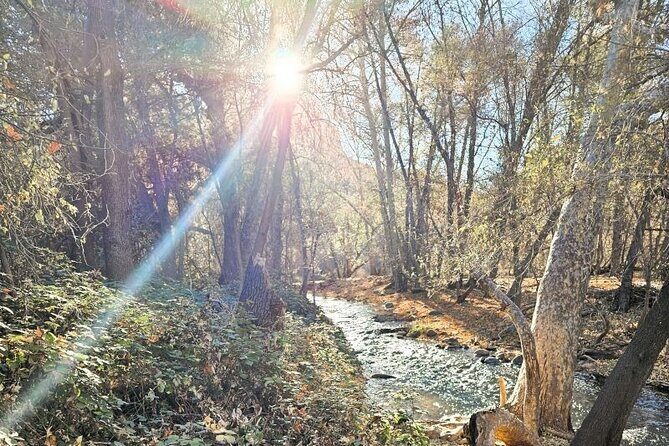 Sedona Sightseeing Tour - FAQ: Your Sedona Sightseeing Questions Answered