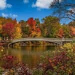 Self Guided Audio Tour of Central Park New York - The Sum Up