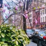 Self-Guided Walk of New York's Gramercy and Flatiron Districts - Practical Aspects of the Tour