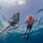 Semi Private Snorkeling Tour in Isla Mujeres - Why Choose This Tour?
