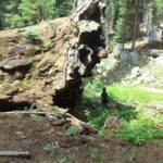 Sequoia National Park: Giant Forest Private Tour - FAQ