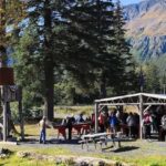 Seward: Exit Glacier Hike & Gold Panning Combo - Who Will Love This Tour?