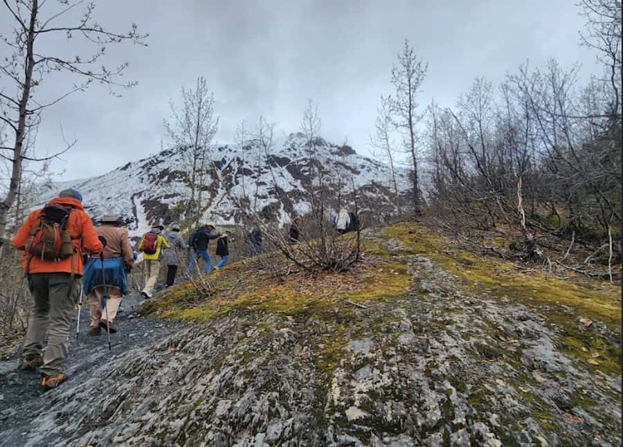 Seward: Guided Marmot Meadows Hike with Lunch - Who Would Enjoy This Tour?
