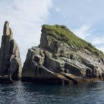 Seward: Kenai Fjords National Park Extended Glacier Cruise - Wildlife Encounters