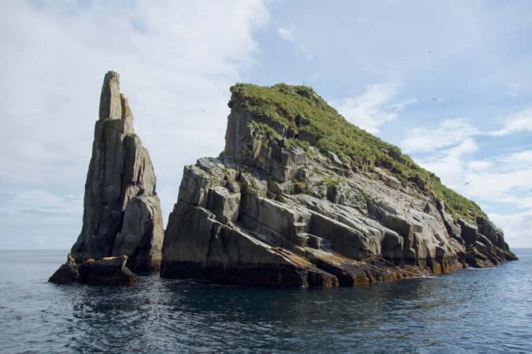 Seward: Kenai Fjords National Park Extended Glacier Cruise - Wildlife Encounters